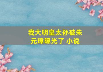 我大明皇太孙被朱元璋曝光了 小说